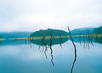neyyar neyyar