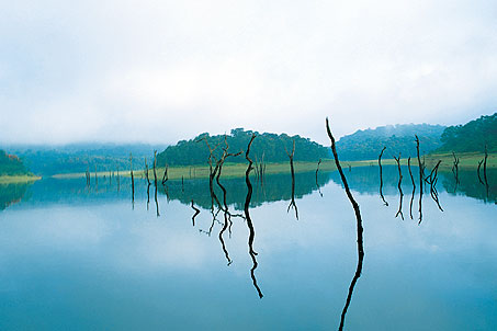 neyyar