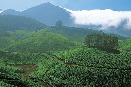ponmudi