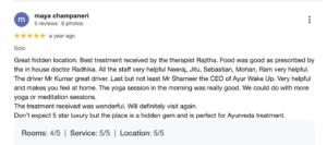 Google Review Client