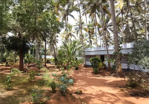 ayurwakeup-ayursoorya