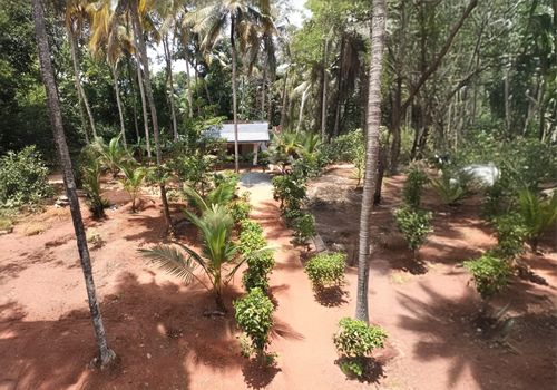 ayurwakeup-ayursoorya