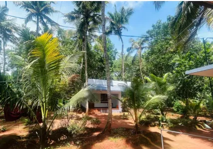 Ayurwakeup Trivandrum ( Ayurwakeup Ayursoorya)