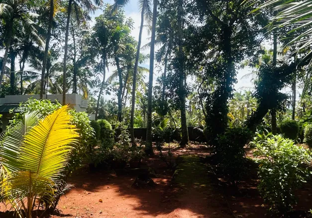 Ayurwakeup Trivandrum ( Ayurwakeup Ayursoorya)