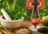 Ayurvedic Medicine for UTI: Natural Relief Guide