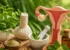 Ayurvedic Treatment for PCOS: What Kerala Does Differently